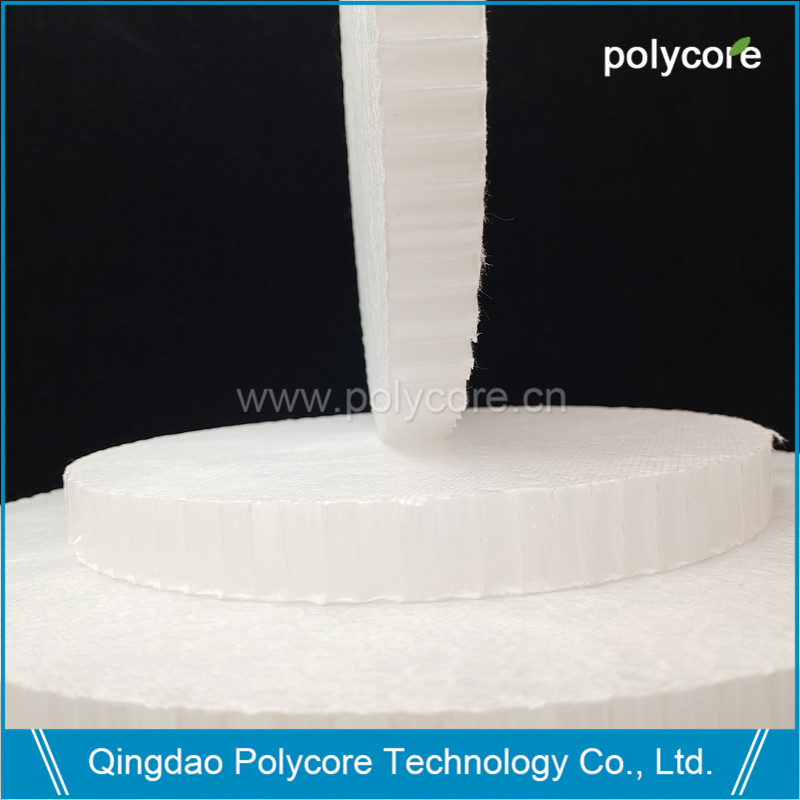 직경이 다른 PP 꿀벌 둥근 시트는 다른 직경 -1 8x8